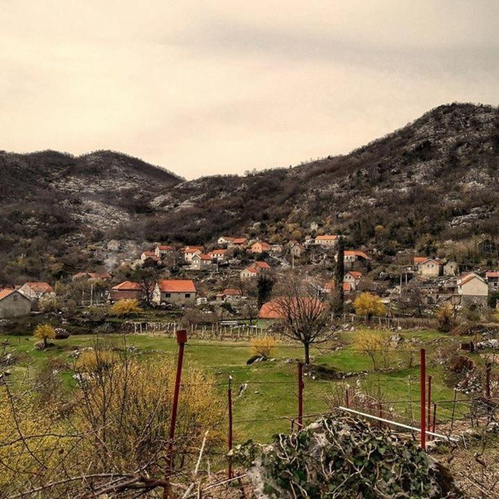 הוילה סטינג'ה House On The Hill מראה חיצוני תמונה